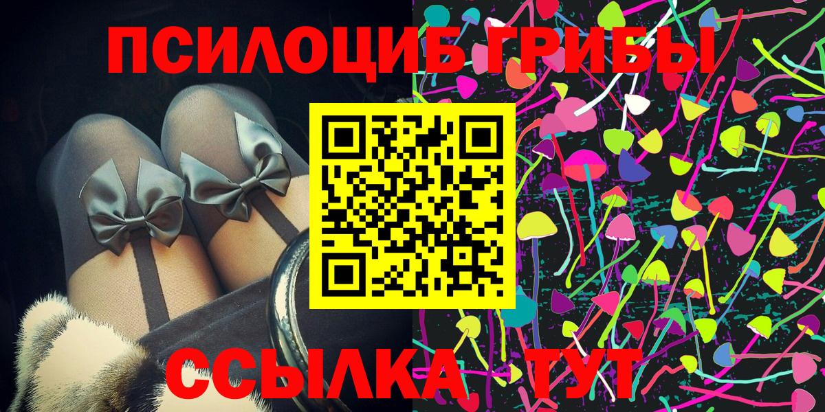 Галлюциногенные грибы Psilocybe Уссурийск